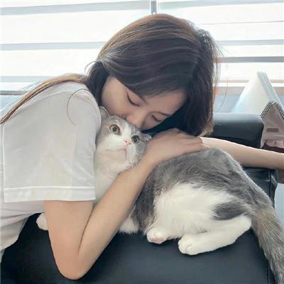 衰落与瓦解